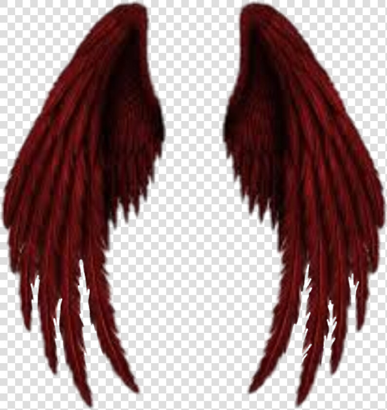 Demon Wings Png   Angel Of Death Wings  Transparent PngTransparent PNG