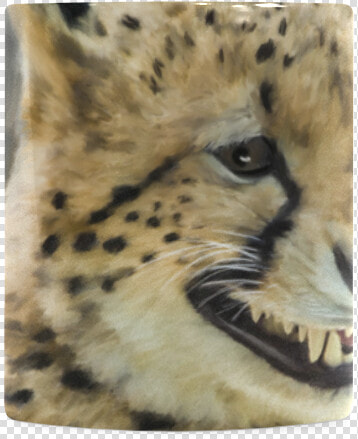 Painting Grinning Cheetah Portrait White Mug   Cheetah  HD Png DownloadTransparent PNG