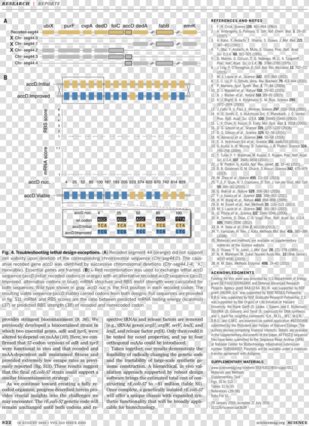 Het Beeld Van De Heilige Liborius Omgesmolten Tot Rijksdaalders   HD Png DownloadTransparent PNG