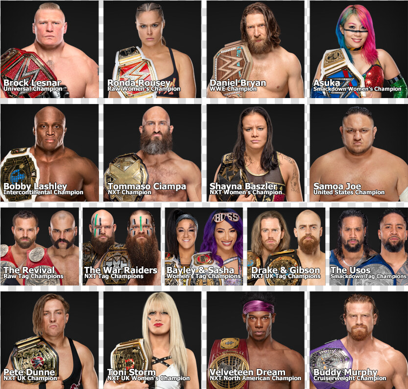 Transparent Daniel Bryan 2014 Png   Wwe Nxt Uk Women  39 s Champion Kay Lee Ray  Png DownloadTransparent PNG