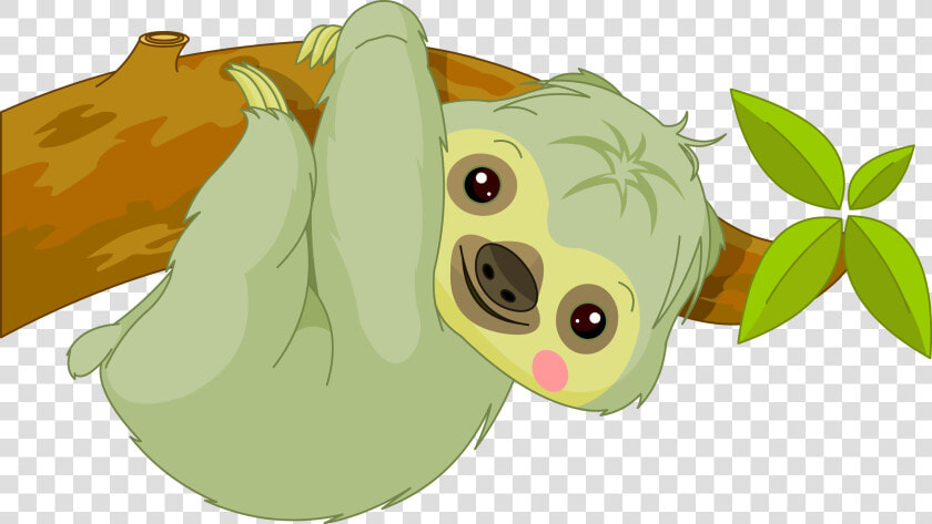 Sloth Png   Cute Cartoon Baby Sloths  Transparent PngTransparent PNG