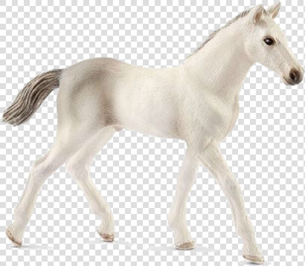 Schleich Horse Foal  HD Png DownloadTransparent PNG