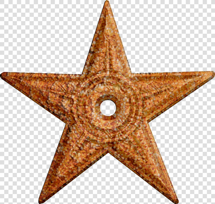 Starfish Barnstar Hires   Hình Ngôi Sao Png  Transparent PngTransparent PNG