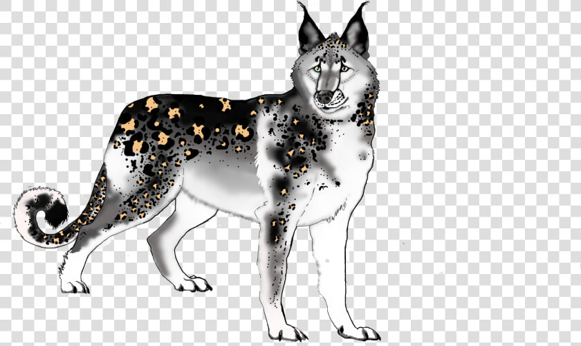 Sakhalin Husky  HD Png DownloadTransparent PNG