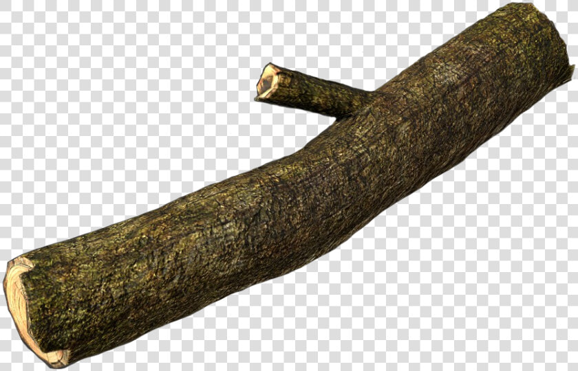 Firewood   Log Of Tree Png  Transparent PngTransparent PNG