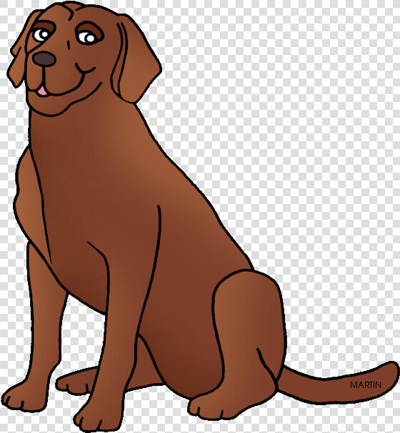 Retriever Clipart Chocolate Lab   Chesapeake Bay Retriever Clipart  HD Png DownloadTransparent PNG