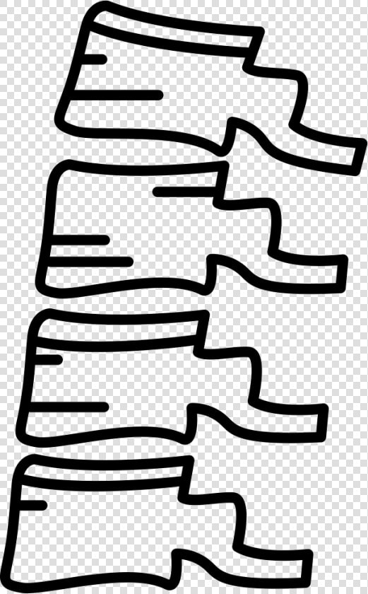 Spine Bone  HD Png DownloadTransparent PNG