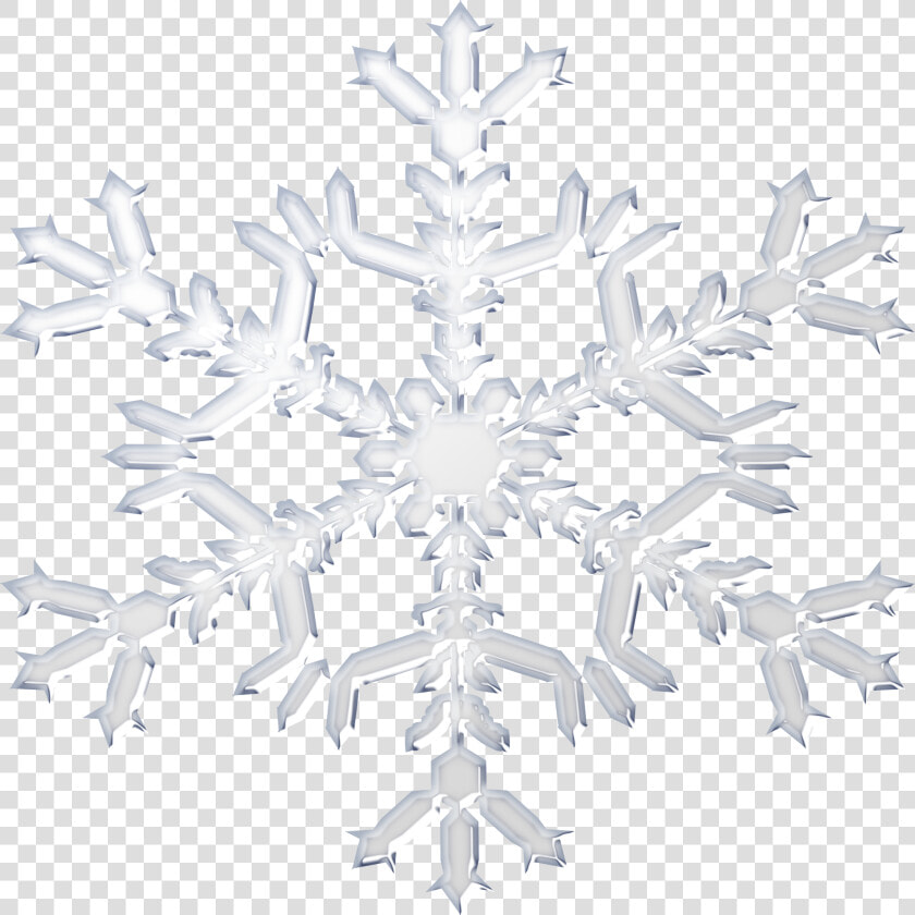 Free White Snowflakes Png   White Snowflake Vector Transparent  Png DownloadTransparent PNG