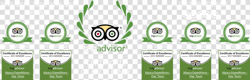 Transparent Tripadvisor Icon Png   Tripadvisor Llc  Png DownloadTransparent PNG