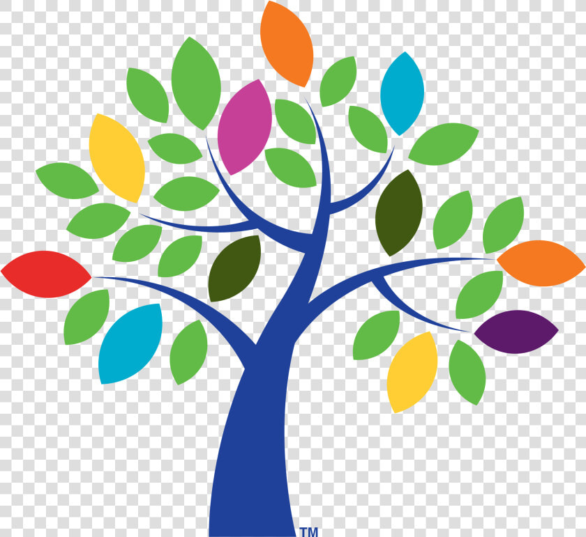 Pkf Tree   Pkf Values  HD Png DownloadTransparent PNG