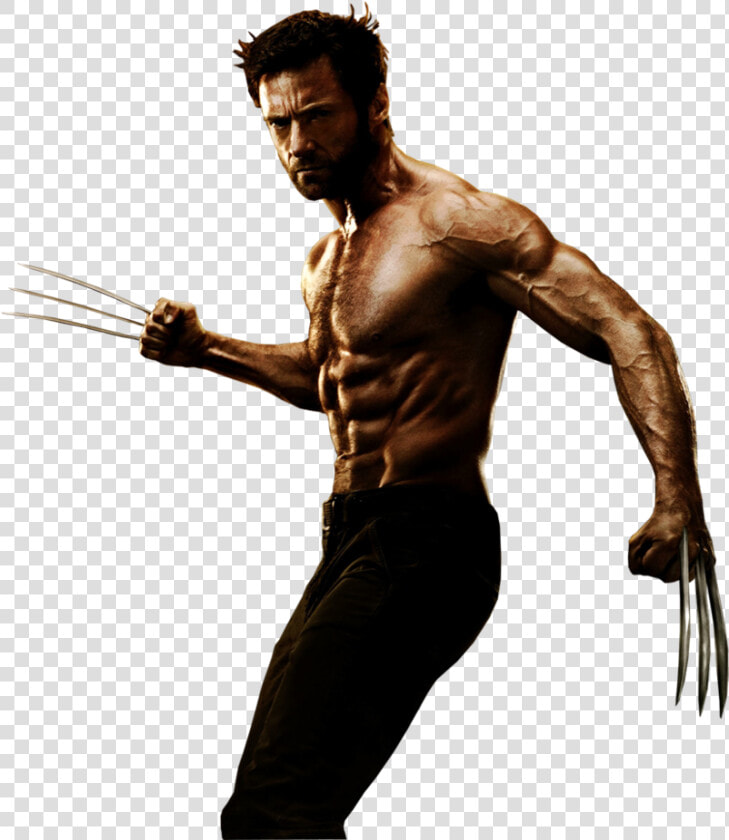 Wolverine Png Transparent Images   Wolverine Png  Png DownloadTransparent PNG