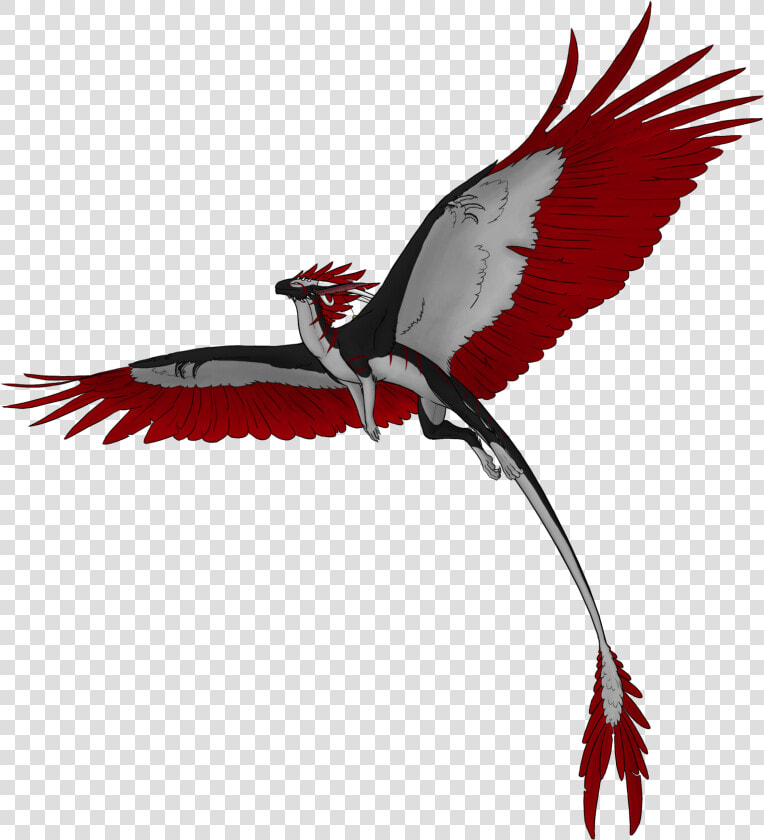 Flying Dragon Png Hd   Flying Dragon Png Transparent  Png DownloadTransparent PNG