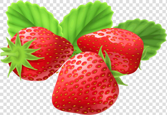 Strawberry Png Image Free Download Searchpng   Download Strawberry  Transparent PngTransparent PNG