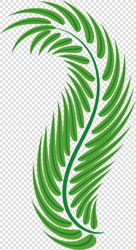 Vector Free Stock Palm Leaf Green Arecaceae Easter   Clipart Palm Leaves Png  Transparent PngTransparent PNG