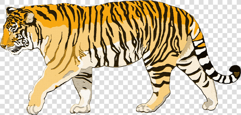 Walking Tiger Png Photo   Siberian Tiger Clipart  Transparent PngTransparent PNG