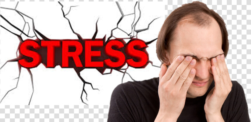 How Anxiety And Stress Can Cause Hair Loss   Mental Or Emotional Strain  HD Png DownloadTransparent PNG