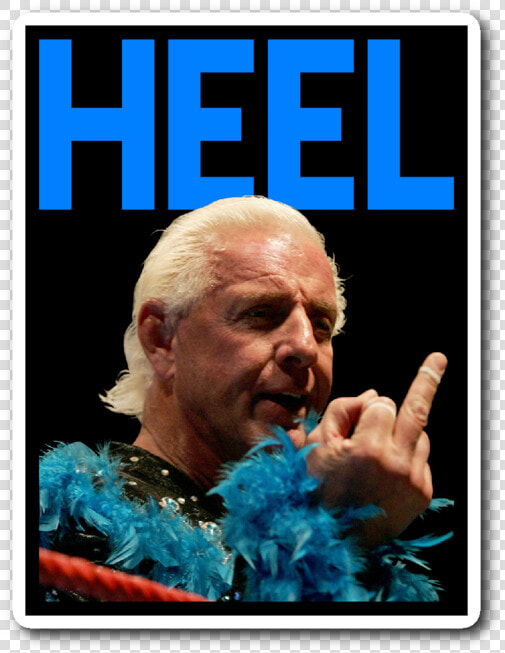 Ric Flair Nature Boy  HD Png DownloadTransparent PNG