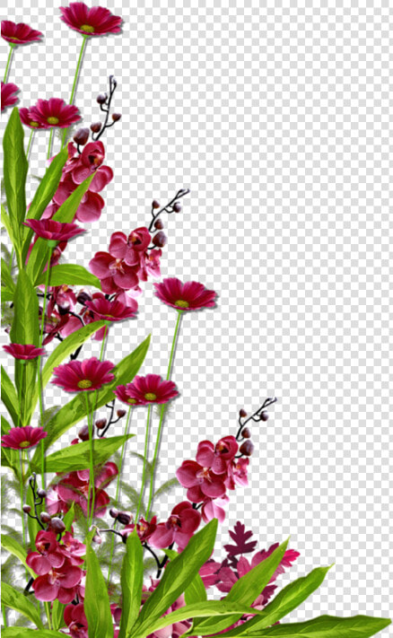 Dessin Bordure De Fleurs  HD Png DownloadTransparent PNG