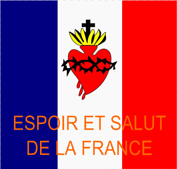 File   Drapeau Esf   Svg   Salut De La France Drapeau  HD Png DownloadTransparent PNG