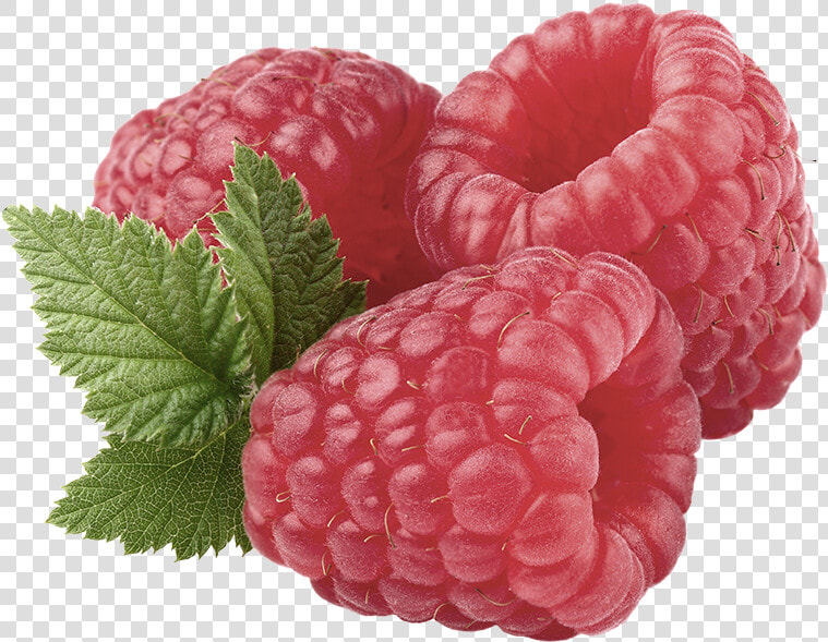 Raspberry Fruit Benefits  HD Png DownloadTransparent PNG