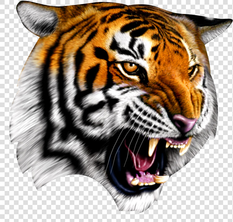 Cadworxlive Gives You Access To 30 000 Quality Peices   Confederate Flag With Tiger  HD Png DownloadTransparent PNG