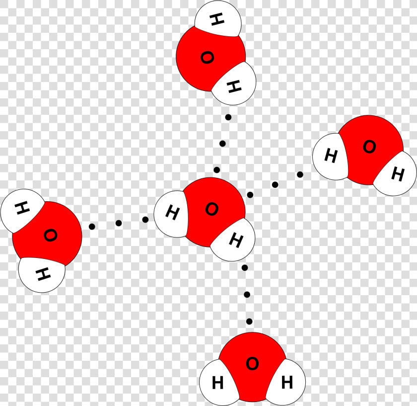 Water Molecule 4 Hydrogen Bonds  HD Png DownloadTransparent PNG