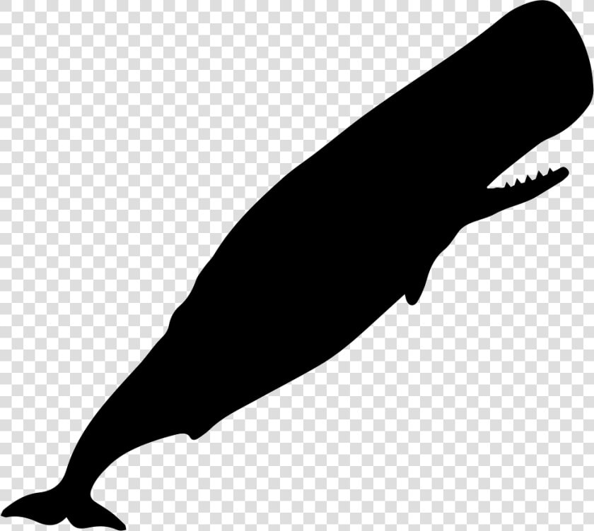 Sperm Whale Silhouette Svg Png Icon Free Download   Sperm Whale Silhouette  Transparent PngTransparent PNG