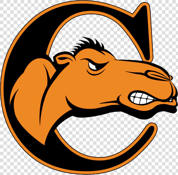 Fighting Camels  HD Png DownloadTransparent PNG