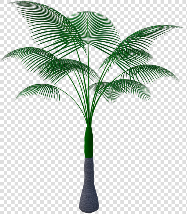 Tropical Plant Tree Green Nature Bloom Summer   Tropical Plant Pixabay Png  Transparent PngTransparent PNG