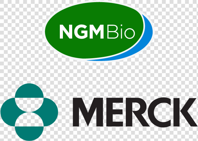 Ngm merck   Graphic Design  HD Png DownloadTransparent PNG