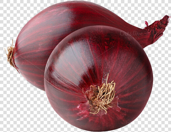 Download Red Onion Png Image   2 Red Onion Png  Transparent PngTransparent PNG