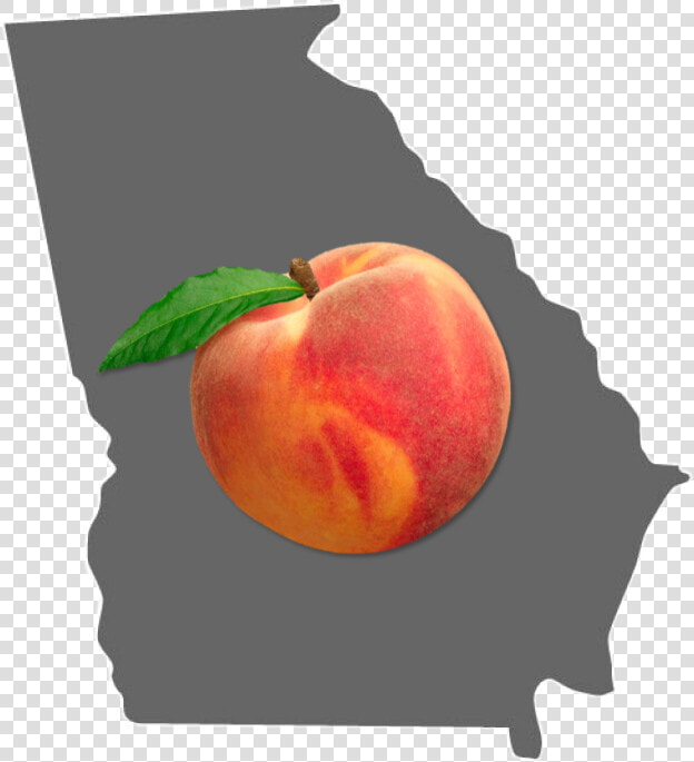  georgia  atlanta  peach  state  state  american  savanah   Nectarine  HD Png DownloadTransparent PNG