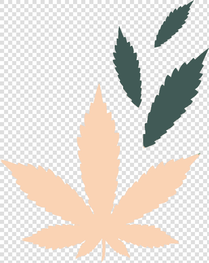 Cbd Vs Thc  HD Png DownloadTransparent PNG