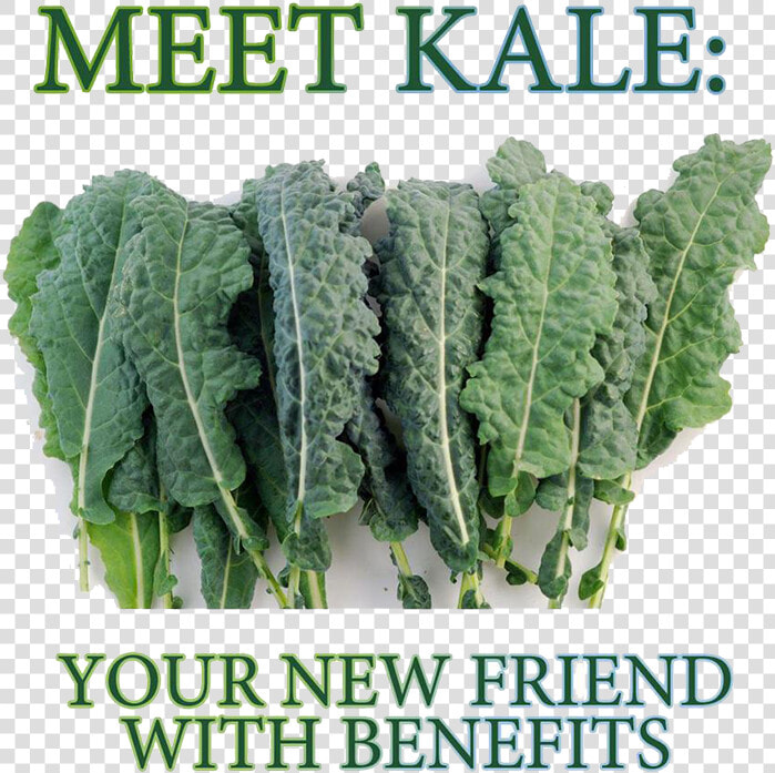 8000 Seeds Lacinto Kale   Png Download   Kale Is Disgusting  Transparent PngTransparent PNG