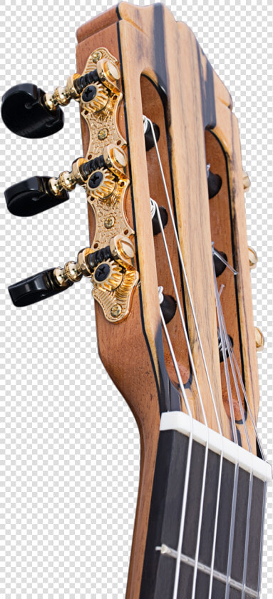 Transparent Guitar Headstock Png   Acoustic electric Guitar  Png DownloadTransparent PNG