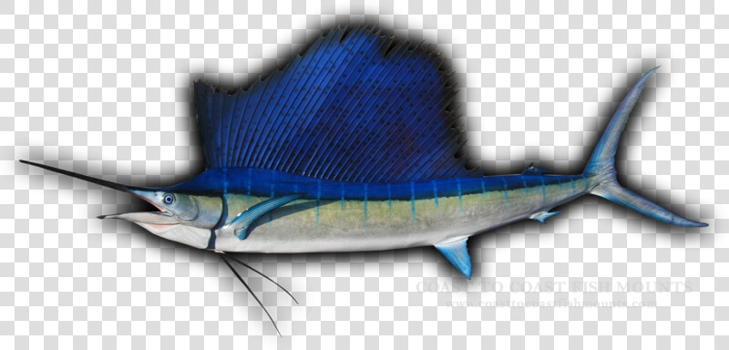 Swordfish  HD Png DownloadTransparent PNG