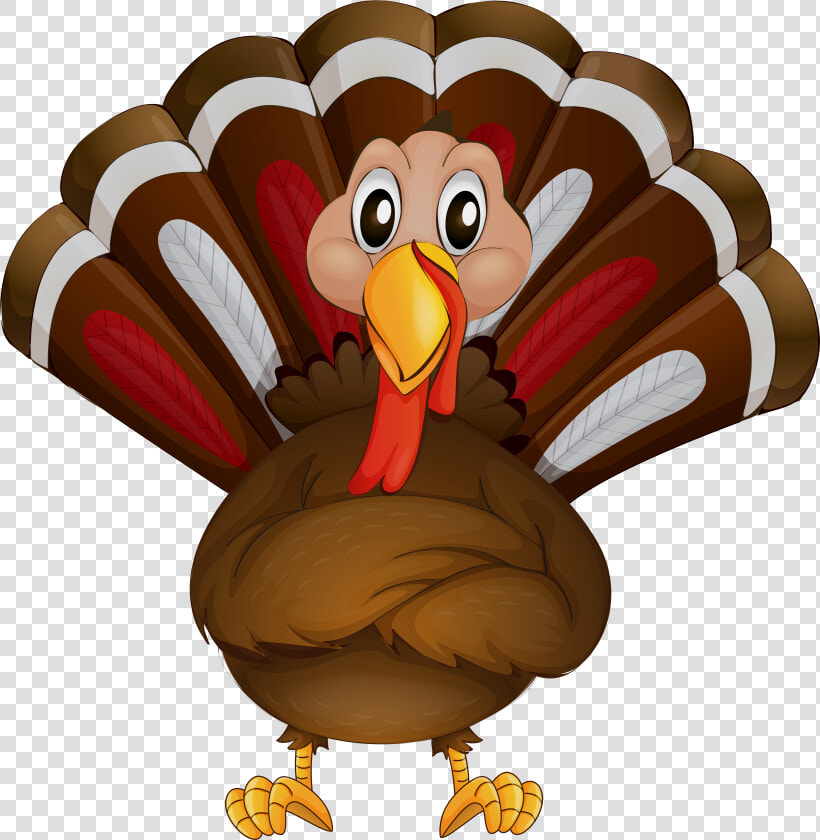 Mascot Vector Turkey   Transparent Thanksgiving Turkey Clipart  HD Png DownloadTransparent PNG