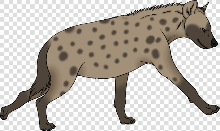 Download Hyena Png Transparent Images Transparent Backgrounds   Hyena Clipart Png  Png DownloadTransparent PNG