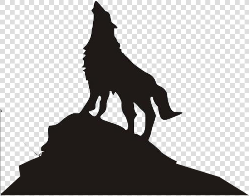 Dog Arctic Wolf Dire Wolf Eastern Wolf Black Wolf   Wolf On Mountain Drawings  HD Png DownloadTransparent PNG