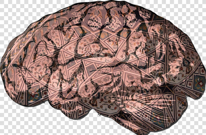 Bipolar Disorder Brain Png  Transparent PngTransparent PNG