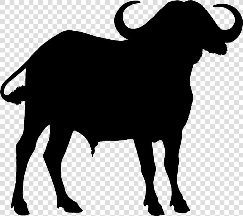 Vector Graphics Clip Art Image Royalty free Illustration   Water Buffalo Silhouette Clipart  HD Png DownloadTransparent PNG