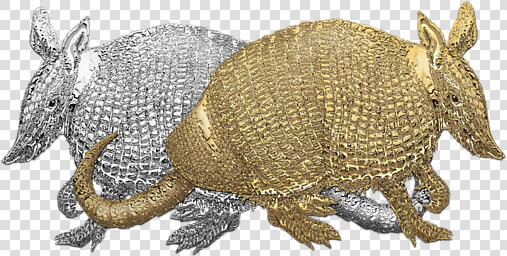 Armadillo  HD Png DownloadTransparent PNG