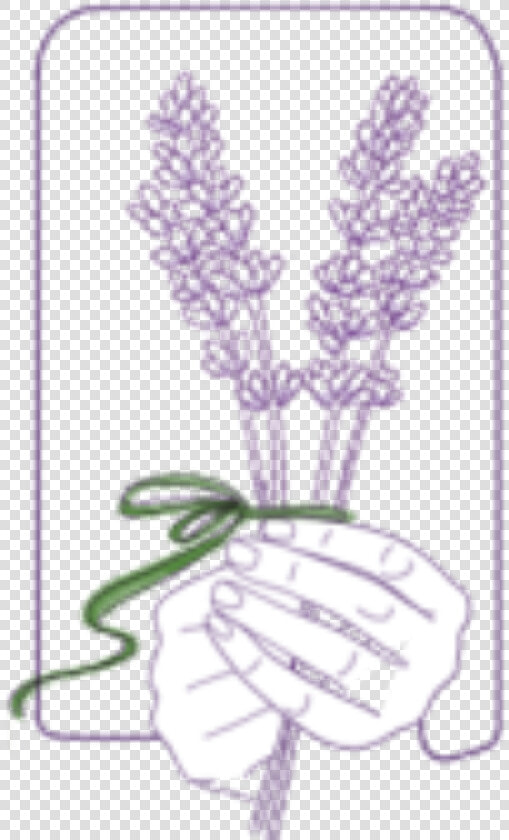 Lavender Sprigs   Illustration  HD Png DownloadTransparent PNG