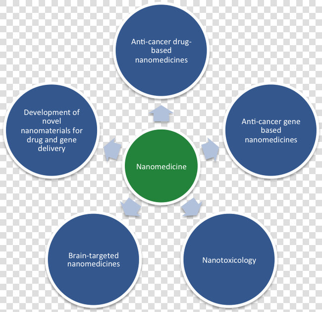 Picture   Social Determinants Teenage Pregnancy  HD Png DownloadTransparent PNG