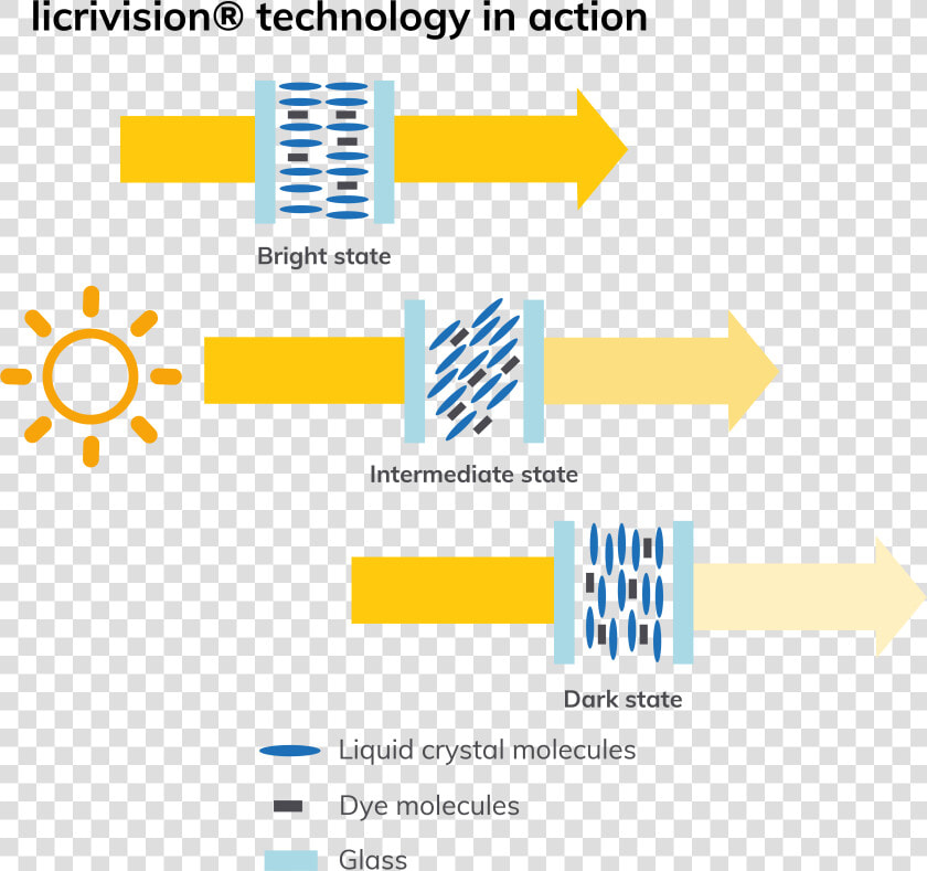 Merck Licrivision  HD Png DownloadTransparent PNG