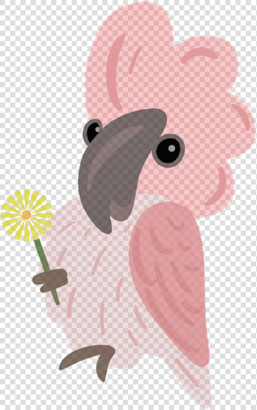 Cockatoo  HD Png DownloadTransparent PNG