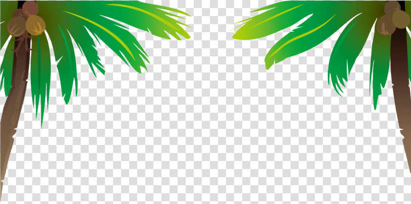 Transparent Coconut Clipart Png   Coconut Tree Vector Png  Png DownloadTransparent PNG