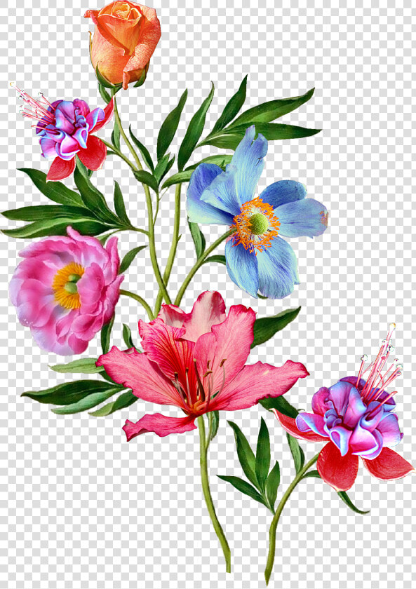 Transparent Lipsense Clipart   Painting Flower Bunch  HD Png DownloadTransparent PNG