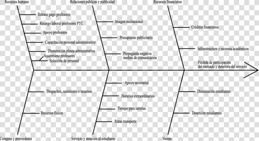 Causa Y Efecto De La Biologia  HD Png DownloadTransparent PNG