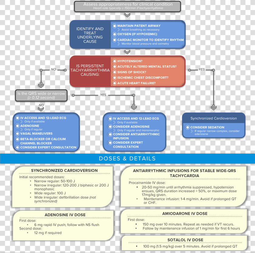 Algorithm Acls Tachycardia With A Pulse   Tachycardia Acls Algorithm 2019  HD Png DownloadTransparent PNG